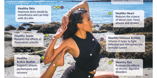 Feed your Fitness with Alaskan Seafood