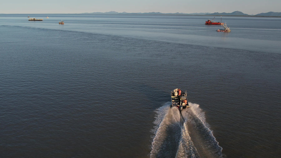 2026 Bristol Bay Season Update: A Smaller Run and a 40-Knot Day - Net To Table Seafoods