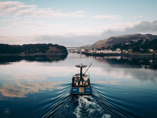 Sablefish vs Black Cod vs Cod: What's the Difference? - Net To Table Seafoods