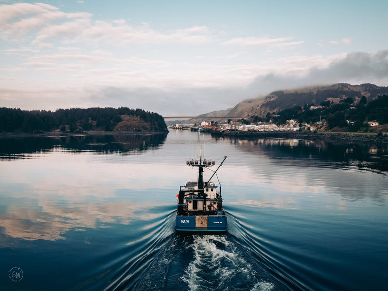 Sablefish vs Black Cod vs Cod: What's the Difference? - Net To Table Seafoods