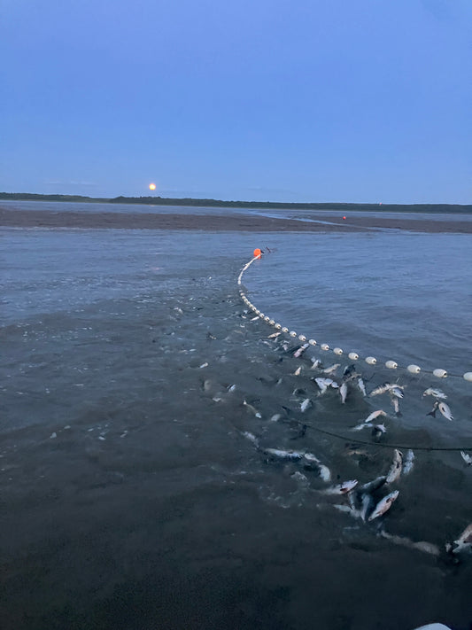 Sockeye Salmon vs Atlantic Salmon: A Fisherman's Guide - Net To Table Seafoods