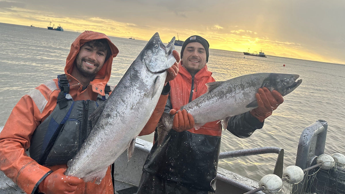 What Does “Wild-Caught” Actually Mean? – Net To Table Seafoods