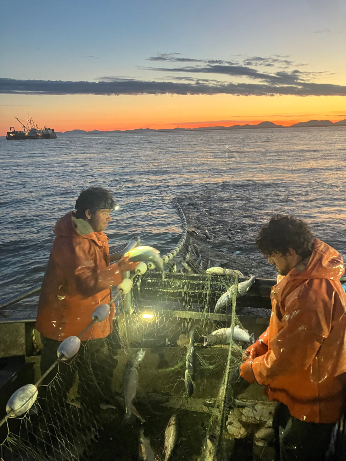 Wild Salmon vs Farmed Salmon: What a Fisherman Wants You to Know - Net To Table Seafoods