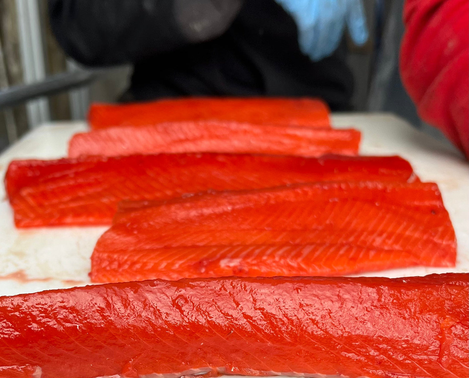 Sockeye Salmon Collection