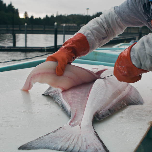 Two 8oz Halibut Tails<br><br>