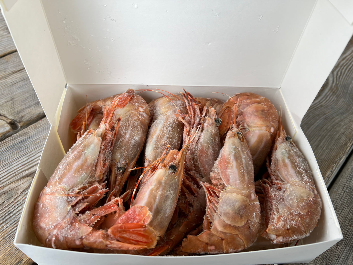 Alaska Spot Prawns