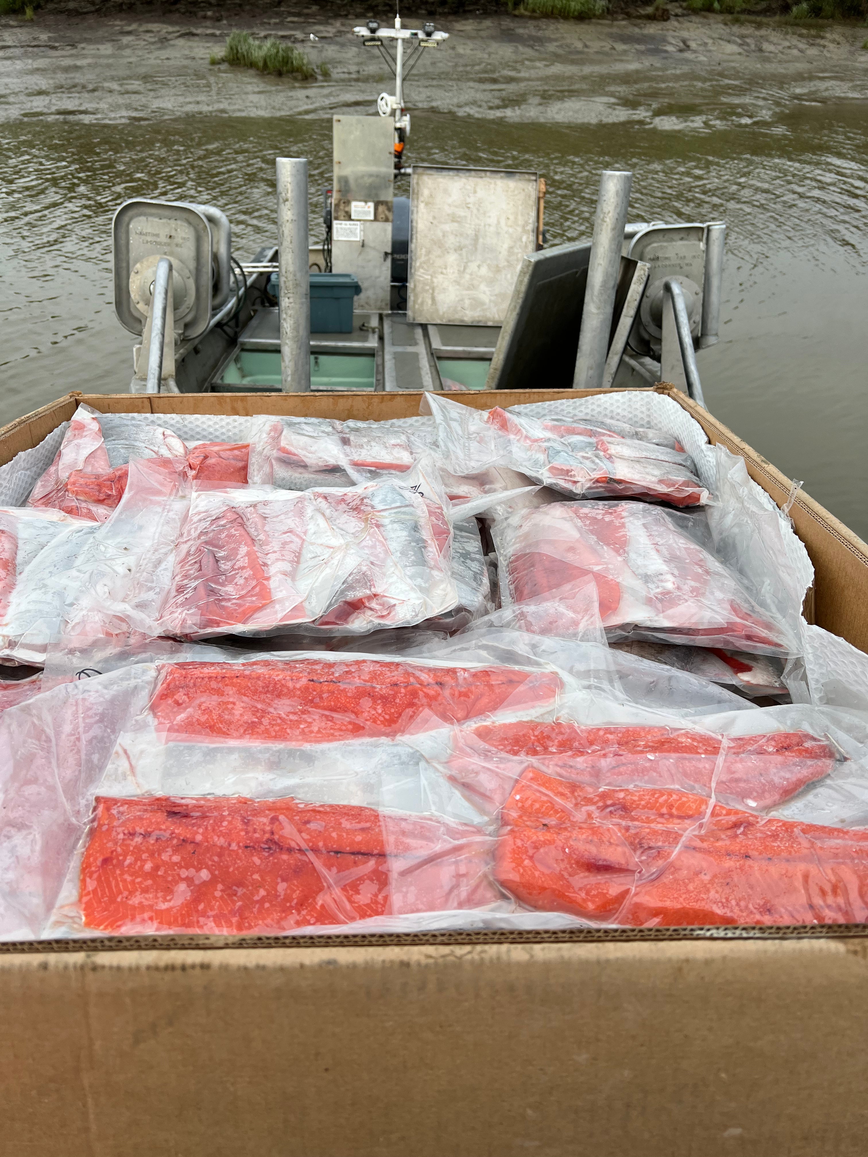 Box filled with vacuum-sealed wild-caught Alaskan salmon fillets on the deck of a small fishing boat docked in a muddy river channel.
