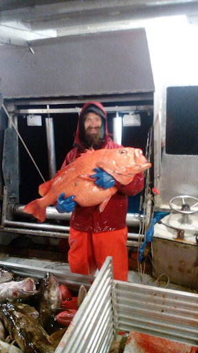 Fisherman in rain gear holding a large bright orange rockfish aboard an Alaskan fishing vessel during nighttime, surrounded by freshly caught fish on deck.
