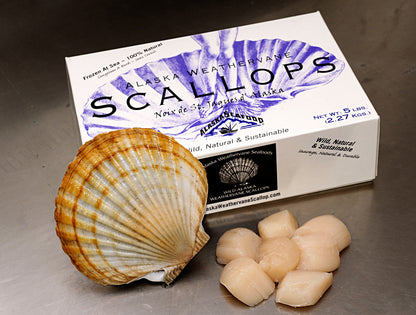 Alaskan Weathervane Scallops