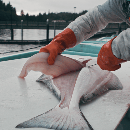 Wild - Caught White Fish Box - Net To Table Seafoods